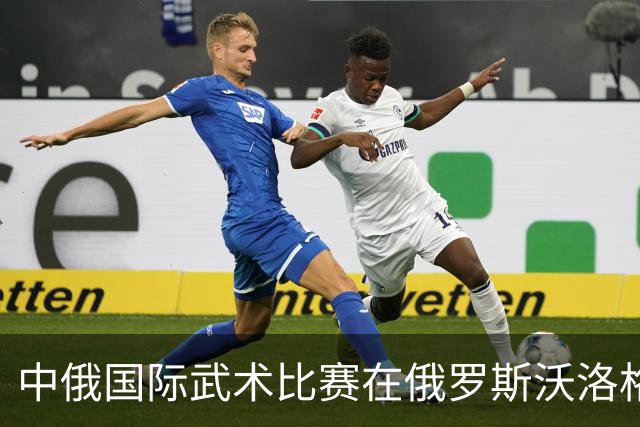 中俄国际武术比赛在俄罗斯沃洛格达开赛